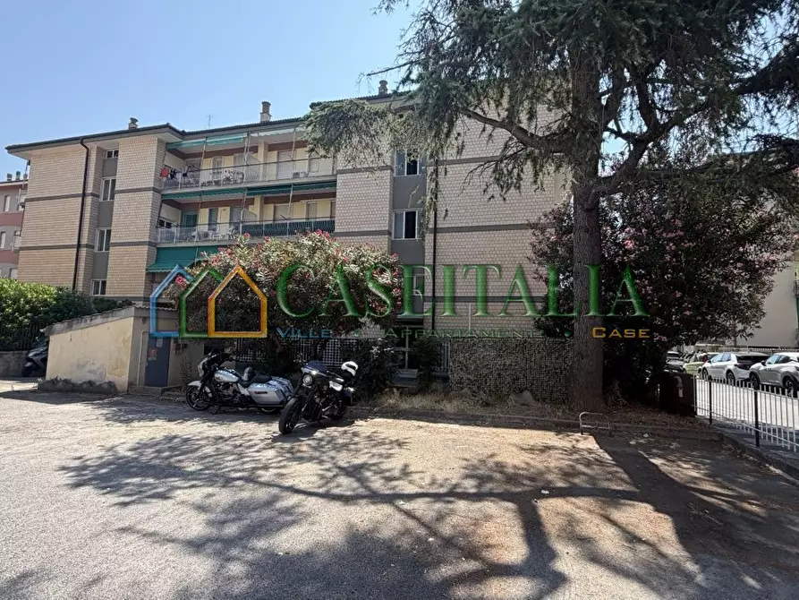 Immagine 17 di Trilocale in vendita  in Strada Cappelletta I 1 a Ceriale