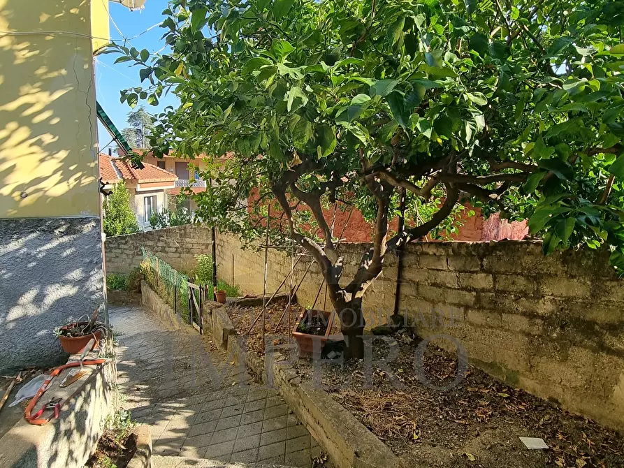 Immagine 25 di Trilocale in vendita  in Via Poggio Ponente 41 a Vallecrosia