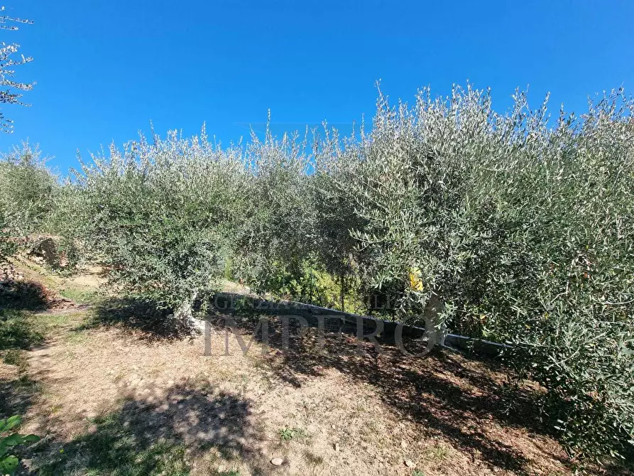 Immagine 25 di Terreno agricolo in vendita  in Via Monsignore Daffra 40 a Ventimiglia