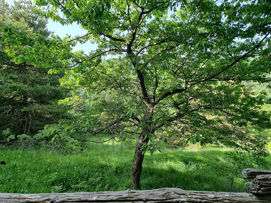 Immagine 25 di Baita in vendita  in Alta Via dei Monti Liguri 11 a Rocchetta Nervina