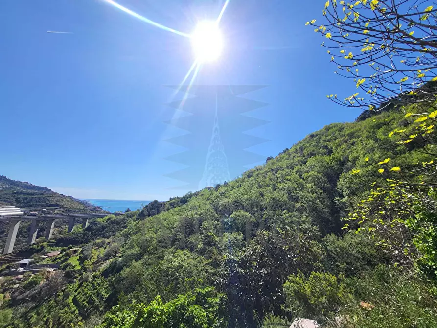 Immagine 3 di Casa indipendente in vendita  in Via Felice Cascione a Ventimiglia