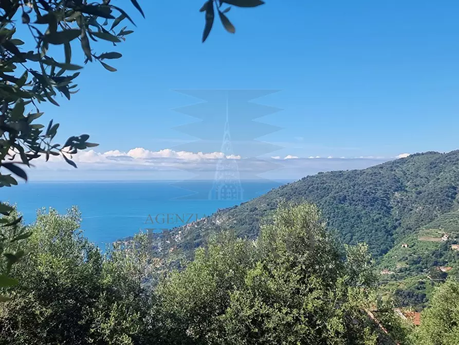 Immagine 29 di Villa in vendita  in Via Nappio 24 a Ventimiglia