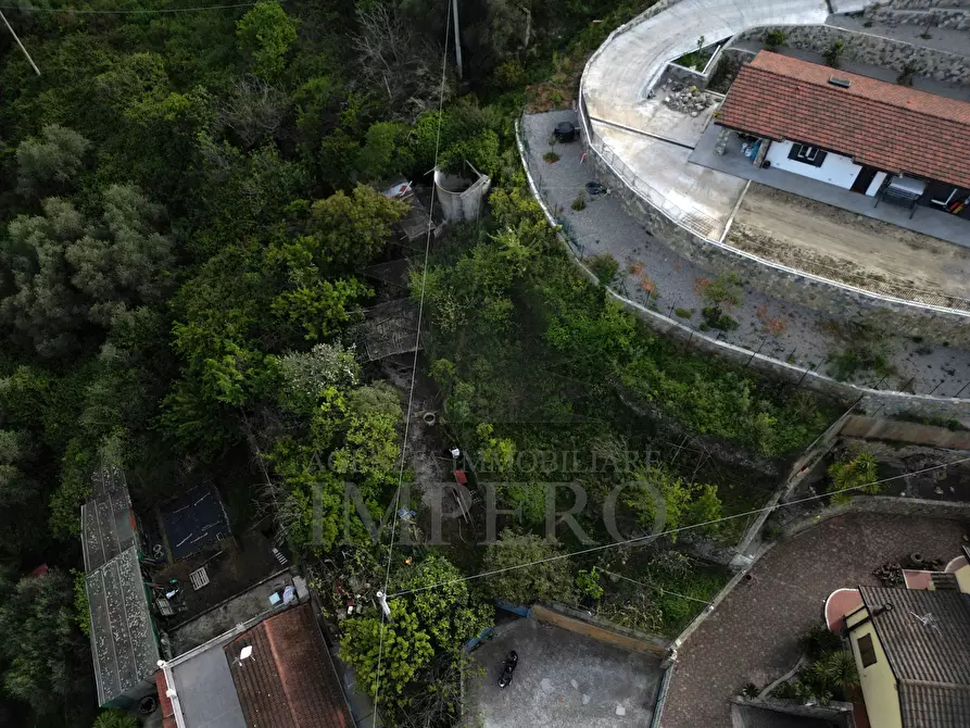 Immagine 2 di Terreno agricolo in vendita  in Strada San Sinforiano a San Biagio Della Cima