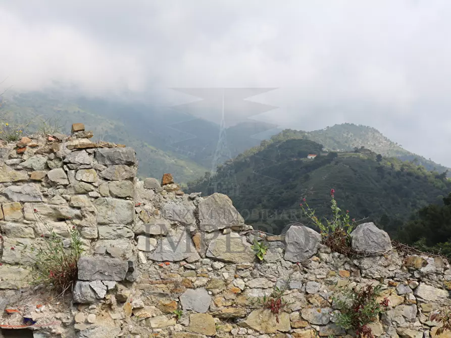 Immagine 30 di Terreno agricolo in vendita  in Via Case Gina 13 a Ventimiglia