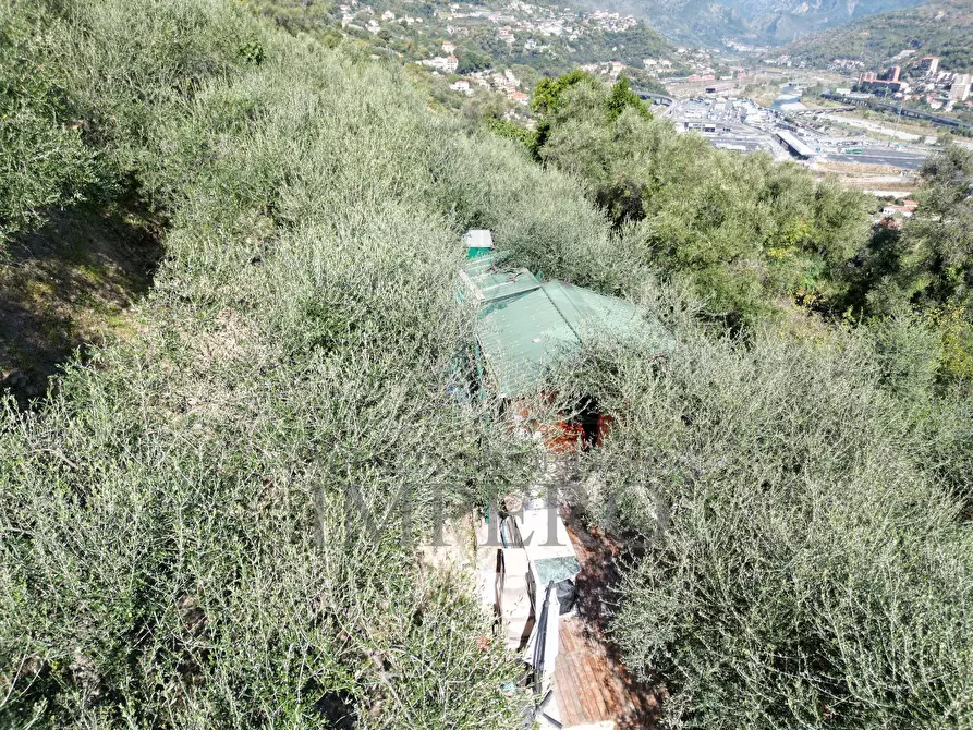 Immagine 57 di Terreno agricolo in vendita  in Via Monsignore Daffra 40 a Ventimiglia