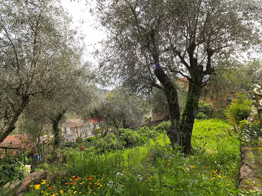 Immagine 41 di Casa indipendente in vendita  in Negi Fumei a Perinaldo