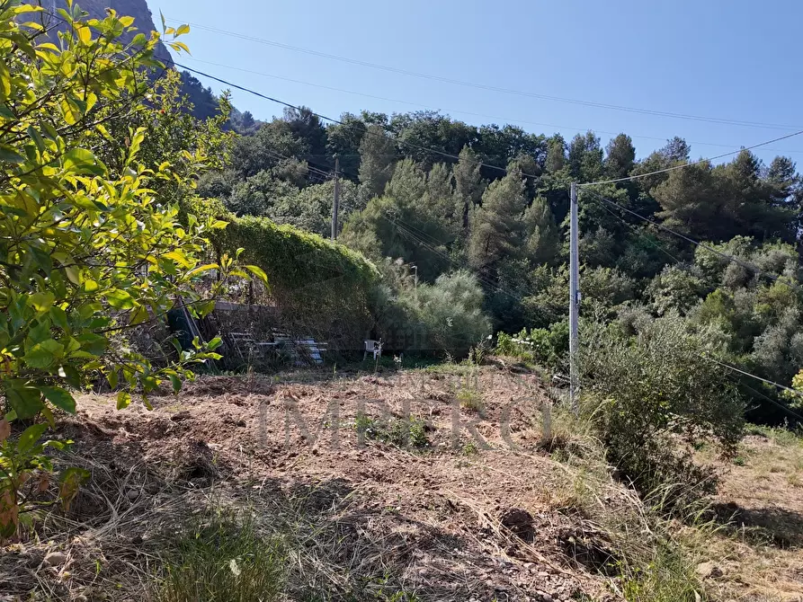 Immagine 15 di Terreno agricolo in vendita  in Corso Limone Piemonte a Ventimiglia