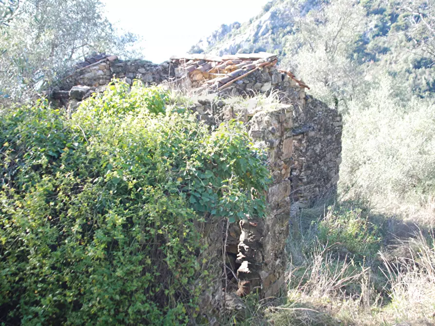 Immagine 16 di Terreno agricolo in vendita  in Via Case Gina 13 a Ventimiglia