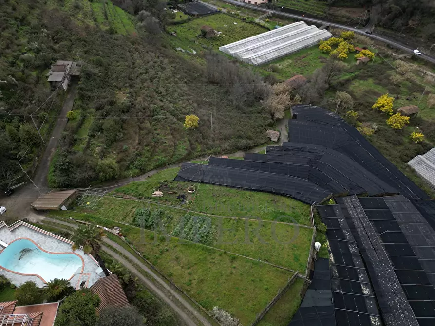 Immagine 7 di Terreno agricolo in vendita  in SP59 39 a Vallecrosia