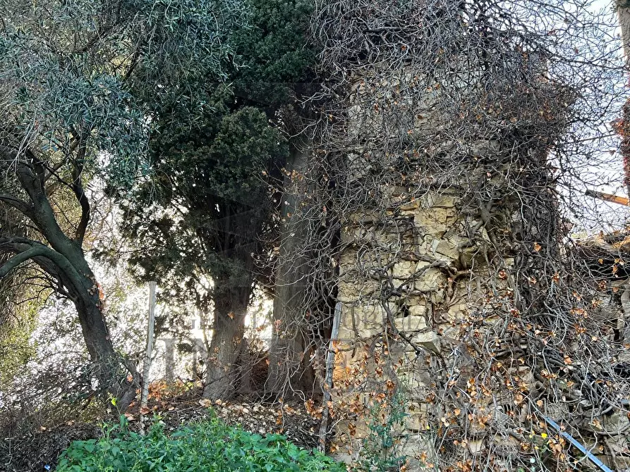 Immagine 21 di Villa in vendita  in via silvio peglio snc a Bordighera