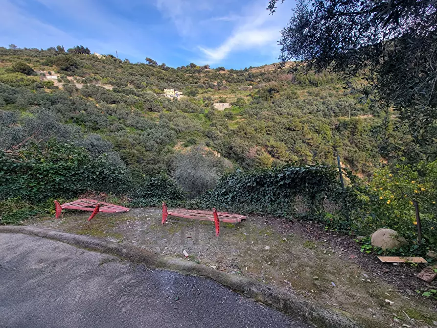Immagine 11 di Porzione di casa in vendita  in strada valloni a Ventimiglia