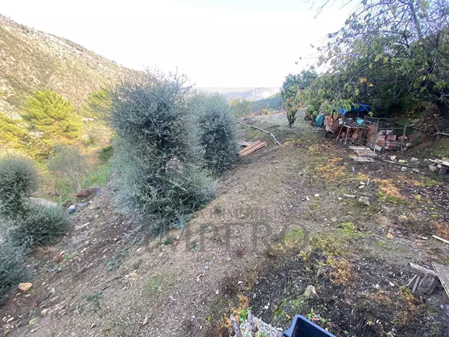 Immagine 13 di Casa indipendente in vendita  in Via Umberto Lorenzi a Ventimiglia