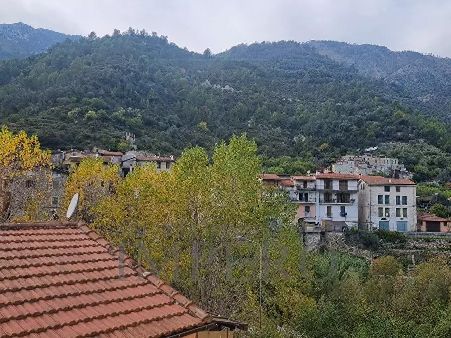 Immagine 24 di Pentalocale in vendita  in Via Case Palanchi 9 a Ventimiglia