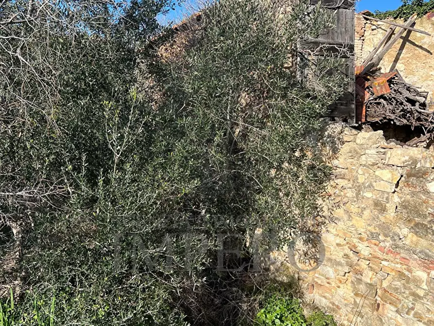 Immagine 25 di Villa in vendita  in via silvio peglio snc a Bordighera