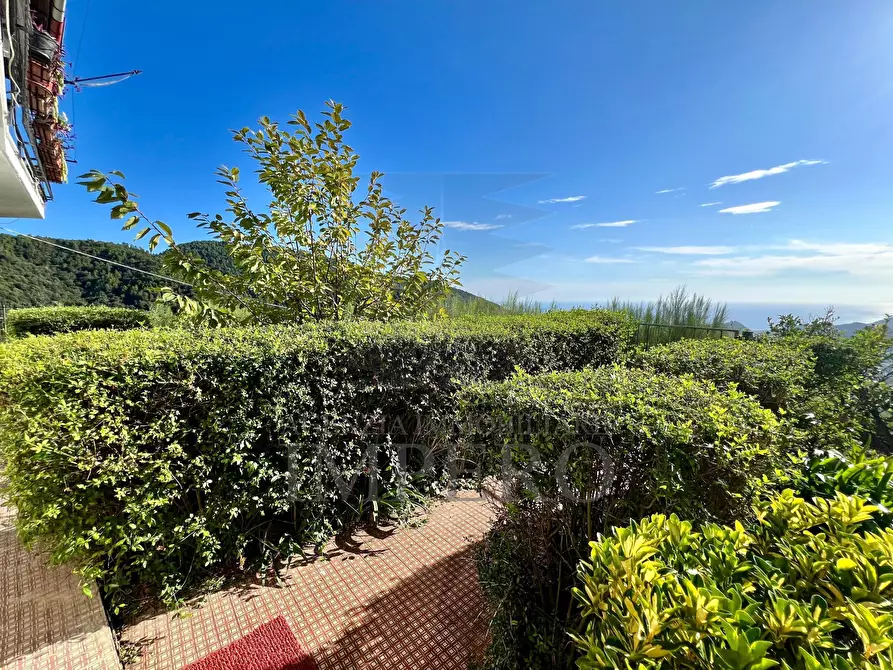 Immagine 61 di Villa in vendita  in Via Antico Principato 8 a Seborga