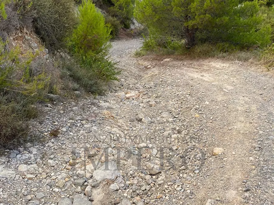 Immagine 18 di Terreno agricolo in vendita  in Via alla Stazione 40 a Ventimiglia