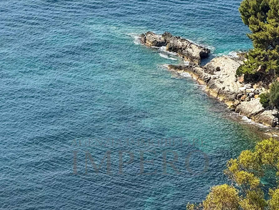 Immagine 4 di Terreno agricolo in vendita  in Corso Mentone 37 a Ventimiglia