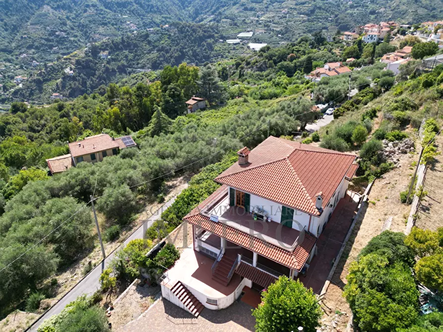 Immagine 39 di Villa in vendita  in Via Nappio 1 a Ventimiglia