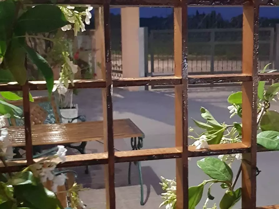 Immagine 20 di Bilocale in affitto  a Miglianico