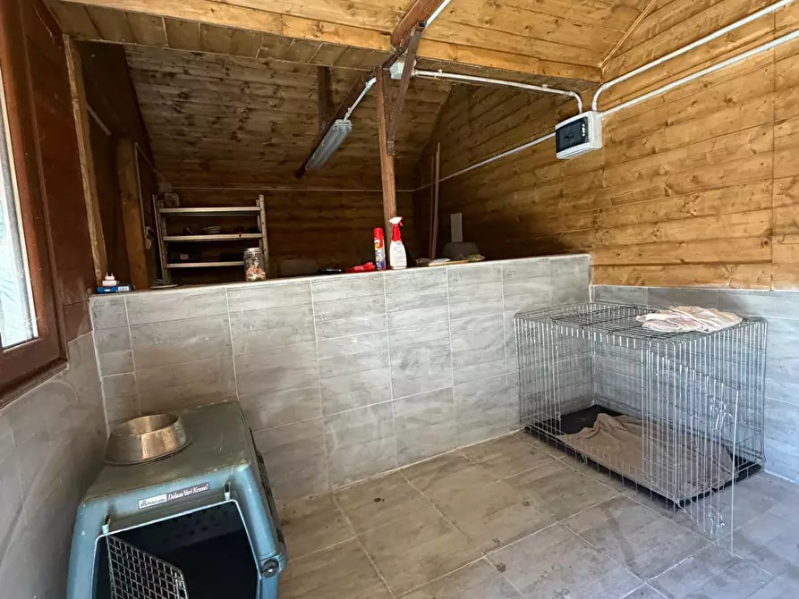 Immagine 21 di Bilocale in affitto  a Francavilla Al Mare