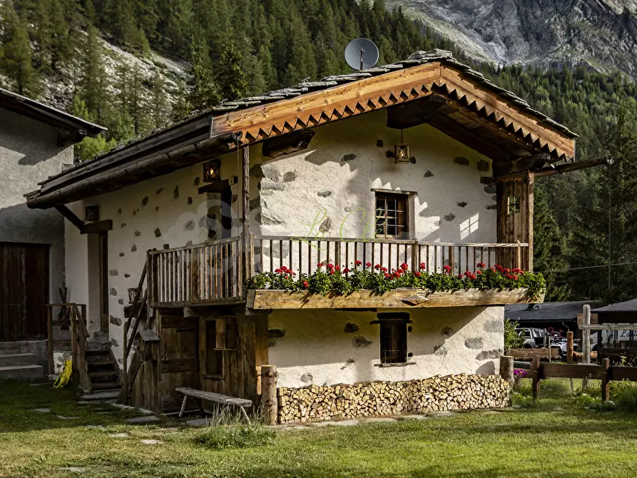 Immagine 16 di Baita in affitto  in Località Peuterey 15 a Courmayeur