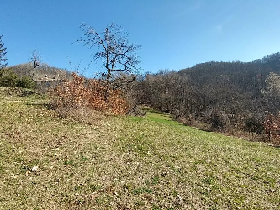 Immagine 11 di Rustico / casale in vendita  a Zocca