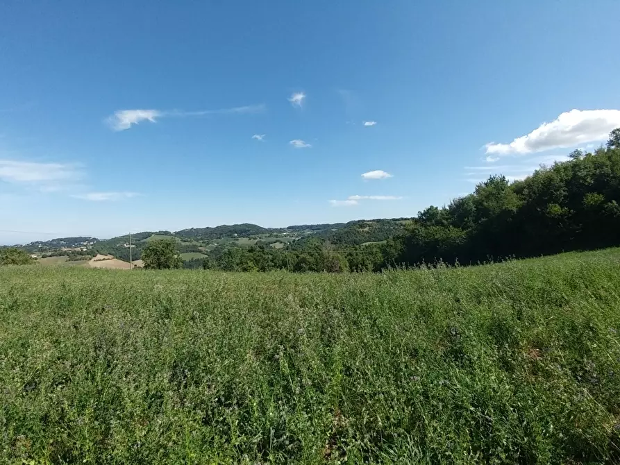 Immagine 46 di Rustico / casale in vendita  in Via Mauro Tesi 1046 a Zocca