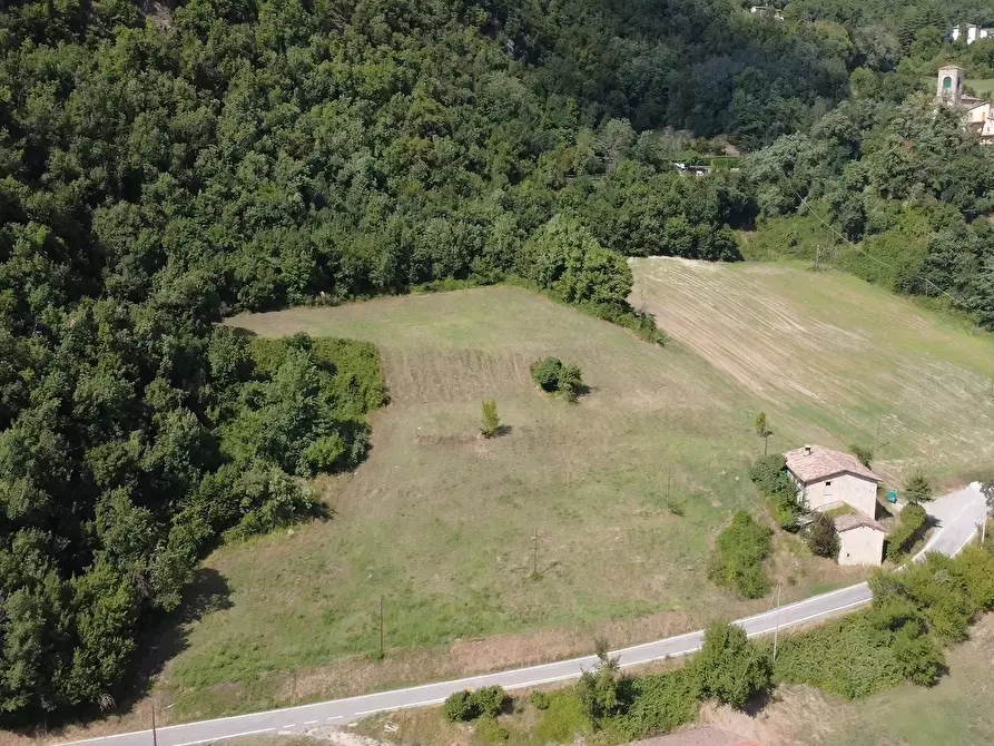 Immagine 3 di Rustico / casale in vendita  in Via Montalbano 3370 a Zocca