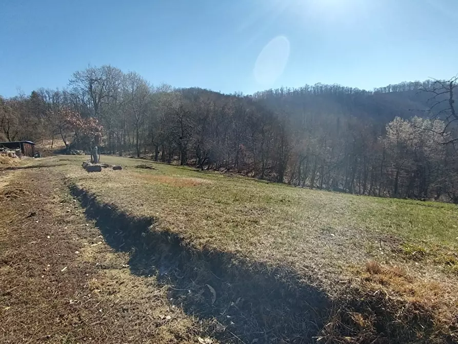 Immagine 10 di Rustico / casale in vendita  a Zocca