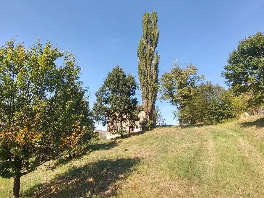 Immagine 6 di Rustico / casale in vendita  in via buzzeda a Guiglia