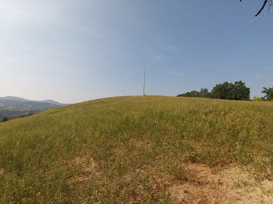 Immagine 26 di Rustico / casale in vendita  in Via Castello 45 a Monte San Pietro