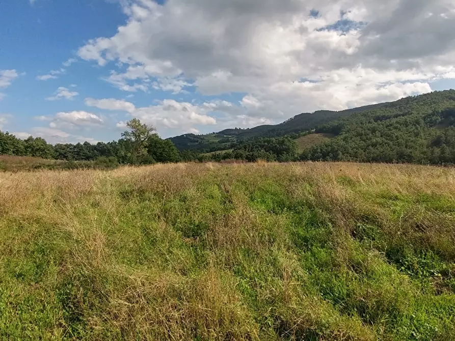 Immagine 36 di Rustico / casale in vendita  in via Selve 3205 a Zocca