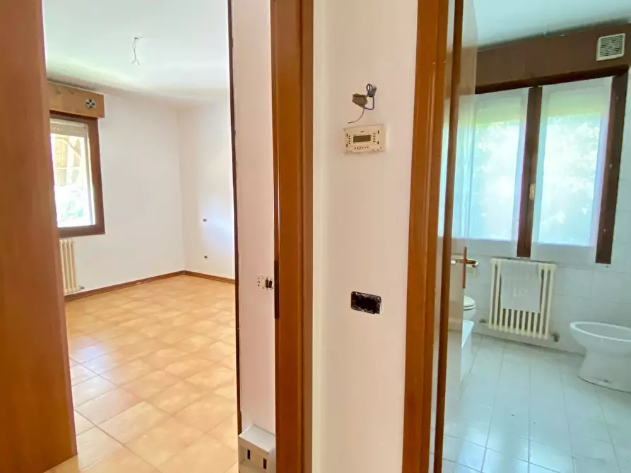 Immagine 10 di Trilocale in affitto  in via incao a Rovigo