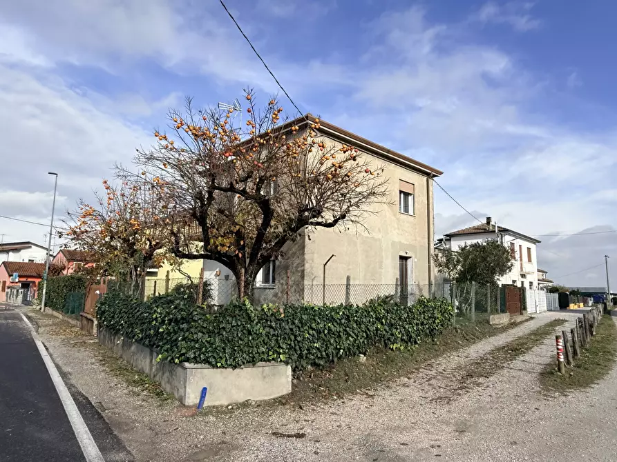 Immagine 2 di Casa indipendente in vendita  a Rovigo