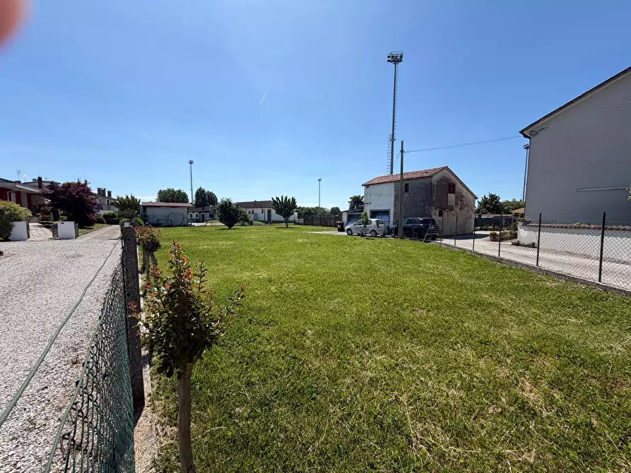 Immagine 3 di Terreno agricolo in vendita  a Rovigo