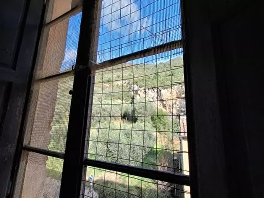 Immagine 6 di Casa indipendente in vendita  a Vicopisano