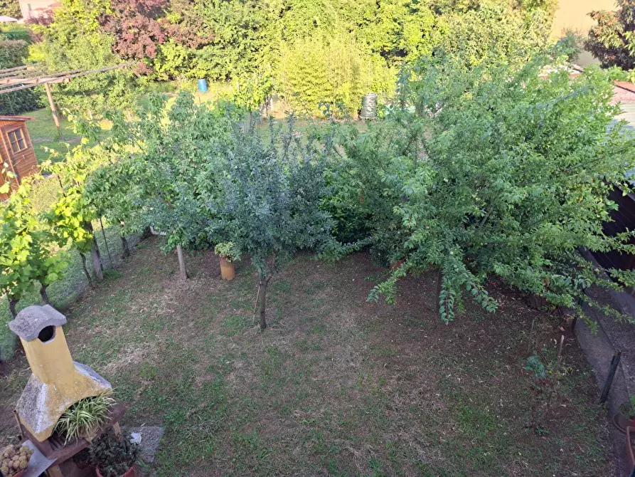 Immagine 38 di Terratetto in vendita  a San Giuliano Terme