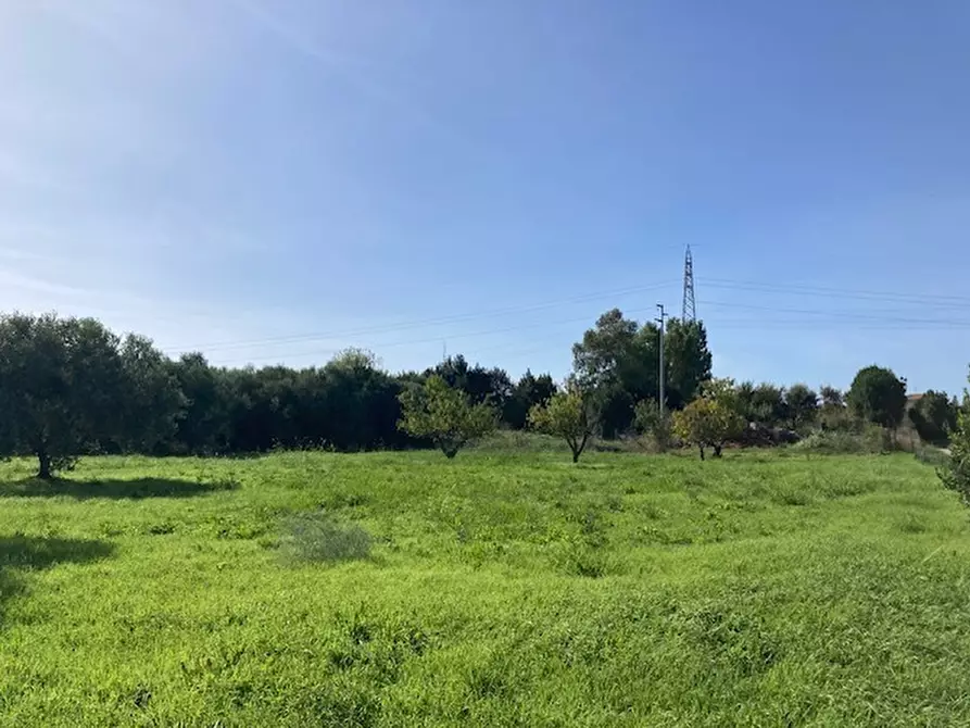 Immagine 1 di Terreno agricolo in vendita  a Pisa