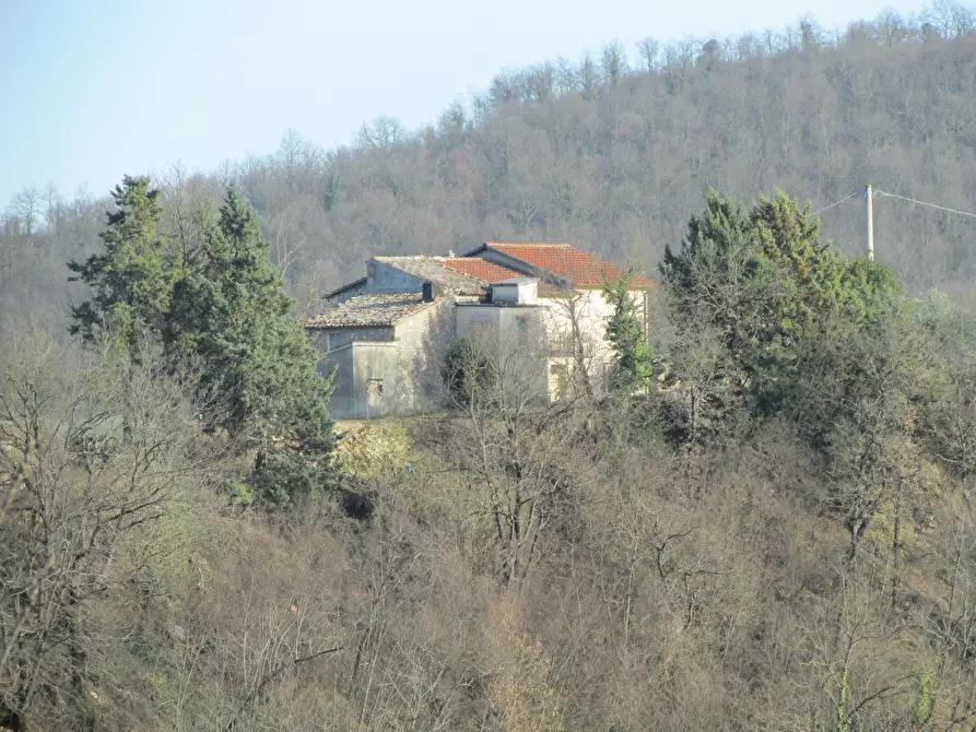 Immagine 11 di Rustico / casale in vendita  a Baschi