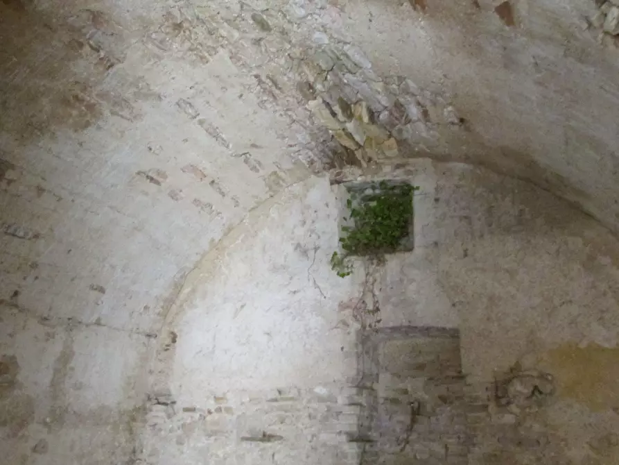 Immagine 12 di Rustico / casale in vendita  a Massa Martana