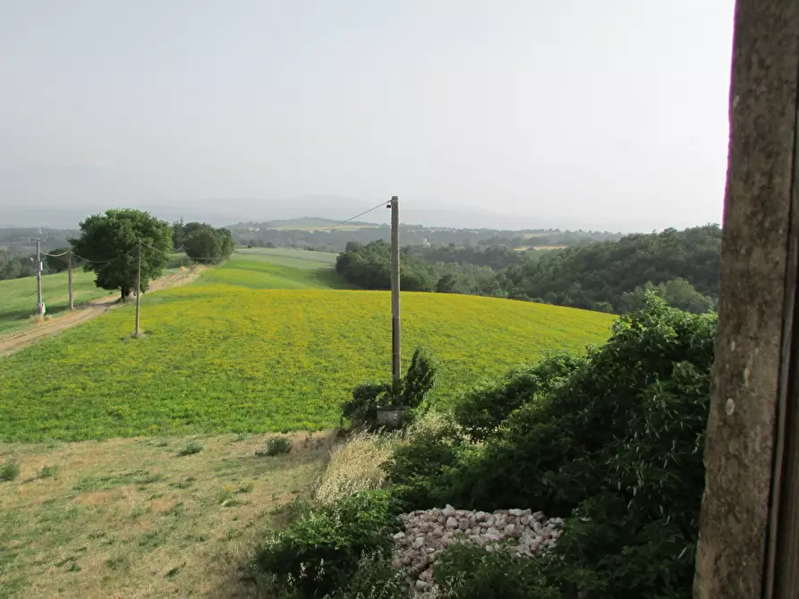 Immagine 7 di Rustico / casale in vendita  a Massa Martana