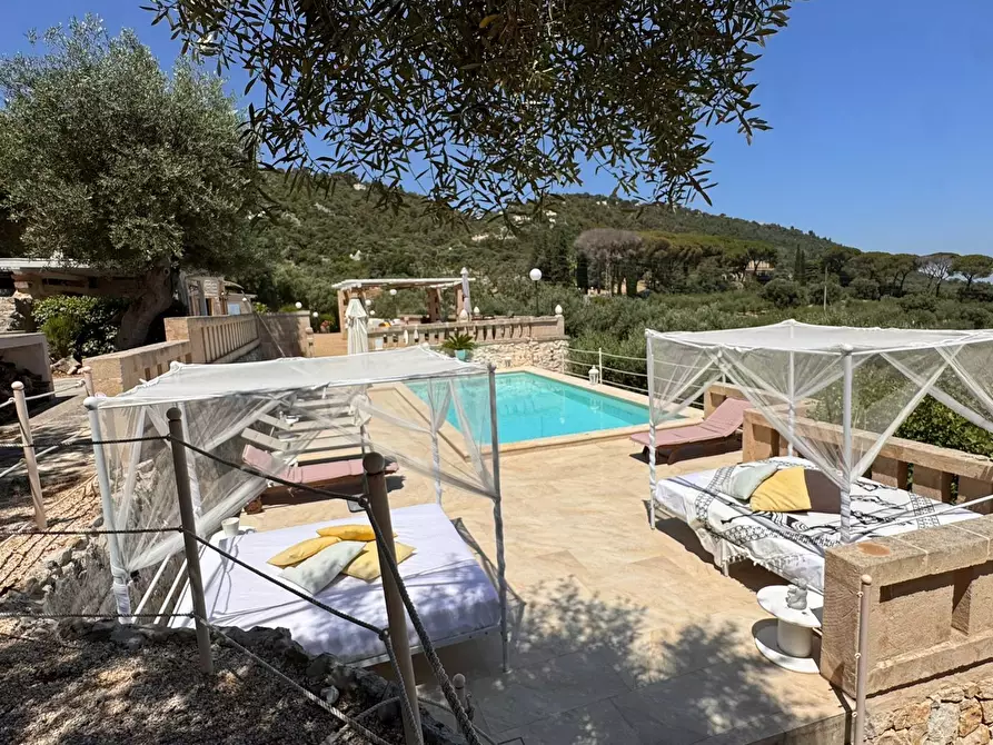 Immagine 25 di Rustico / casale in vendita  in Viale Monte Cannone a Fasano