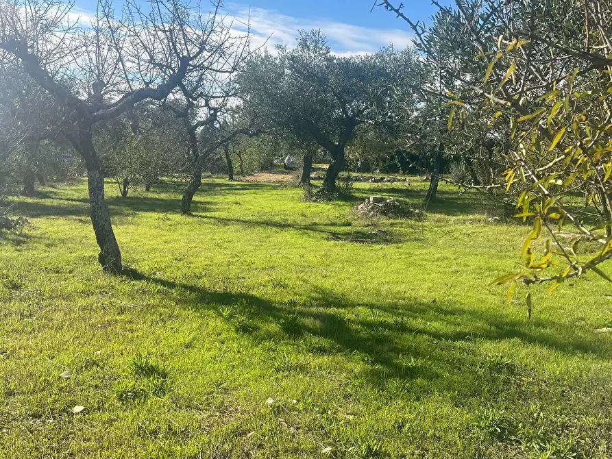Immagine 8 di Rustico / casale in vendita  in Via Vd'impelo a Castellana Grotte