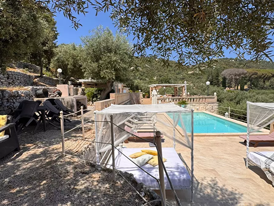 Immagine 24 di Rustico / casale in vendita  in Viale Monte Cannone a Fasano