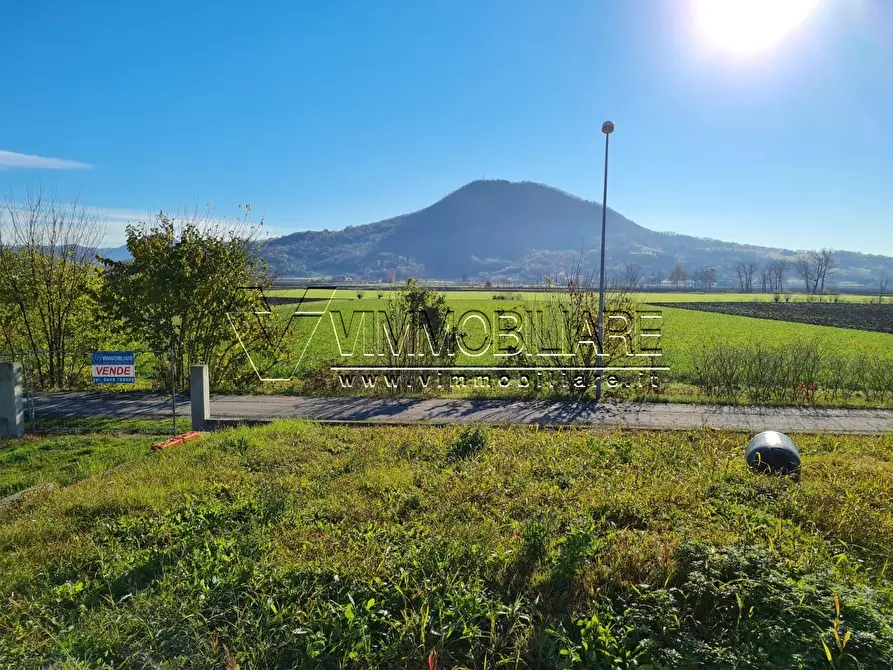 Immagine 10 di Casa indipendente in vendita  in via palazzon 22 a Lozzo Atestino