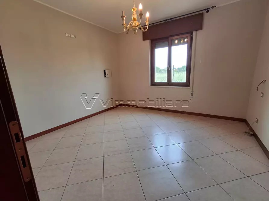 Immagine 9 di Casa bifamiliare in affitto  a Orgiano