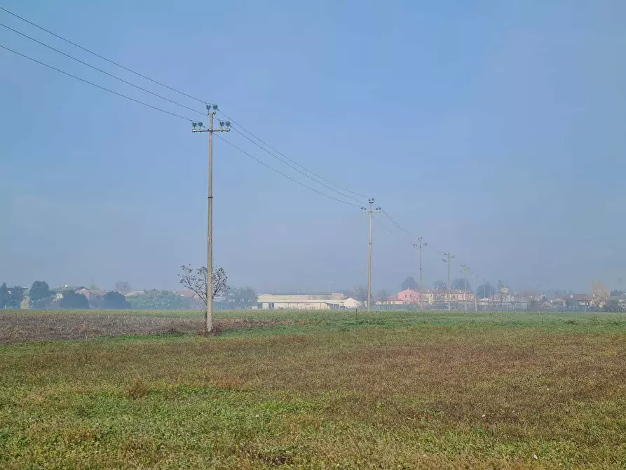 Immagine 8 di Terreno agricolo in vendita  in via saline a Noventa Vicentina