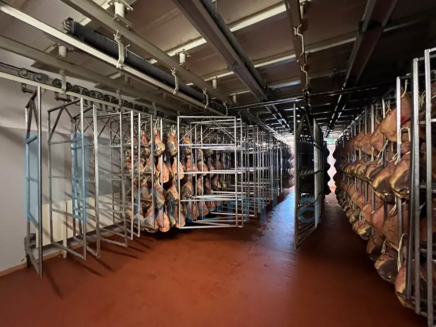 Immagine 25 di Attività artigianale in vendita  a Savignano Sul Panaro