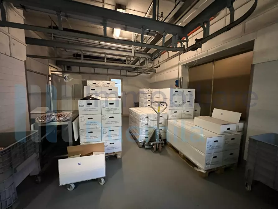 Immagine 12 di Attività artigianale in vendita  a Savignano Sul Panaro