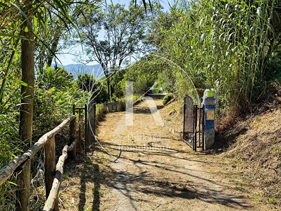 Immagine 15 di Casa indipendente in vendita  in Località Mezzano 22 a Stella
